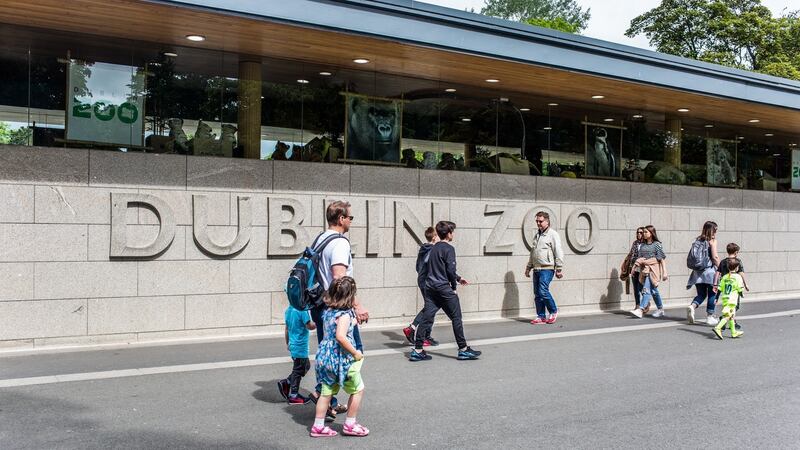Dublin Zoo in Phoenix Park. Photograph: James Forde