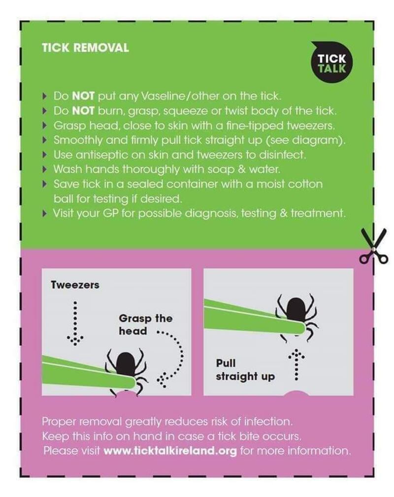 How to remove a tick