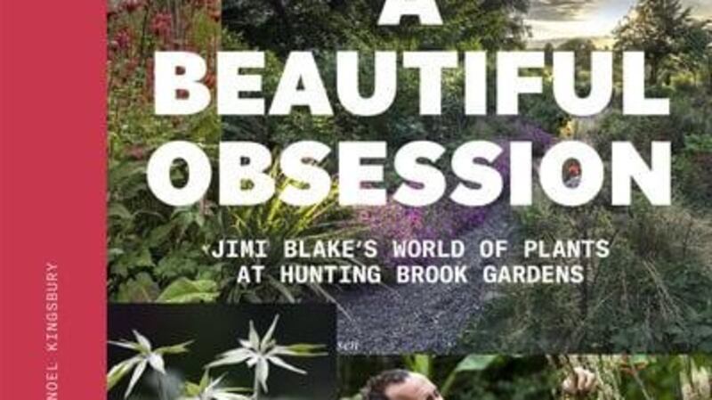 A Beautiful Obsession by Jimi Blake