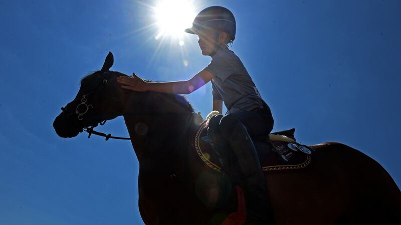 Rhys Williams (11) from Ennis, Co Clare, on Yorkie at the RDS on Tuesday.  Photograph: Eric Luke/The Irish Times