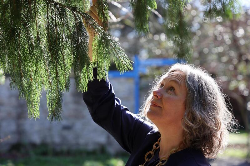 Prof Jennifer McElwain: ‘We have a wide variety of trees here, both native and non-native, some of which are adapted to warmer Mediterranean conditions.’ Photograph: Nick Bradshaw/The Irish Times