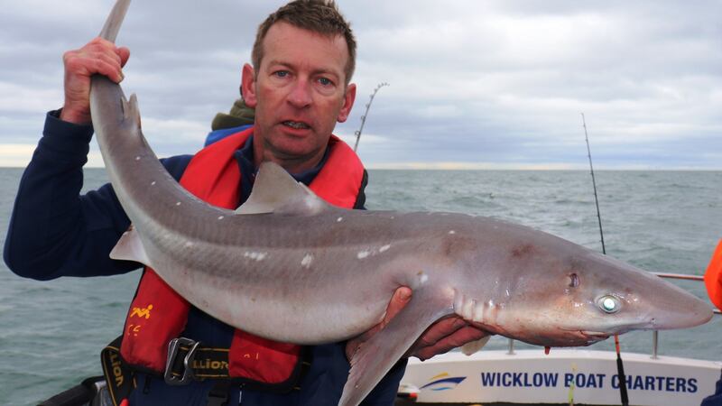 Des Chew with his specimen spurdog of 19lb 1oz caught at Wicklow.