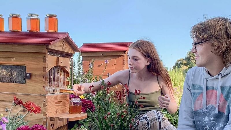 Niall Fahy works for Flow Hive and has found something to do that feels “worthwhile”, plus he can even see humpback whales breaching from the office verandah