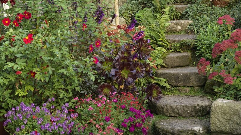 Photograph: Richard Johnston