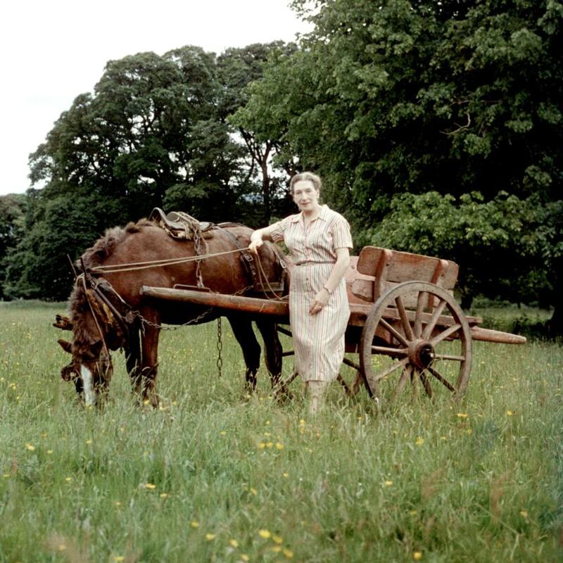 Elizabeth Bowen in 1962. Photograph: Slim Aarons/Getty