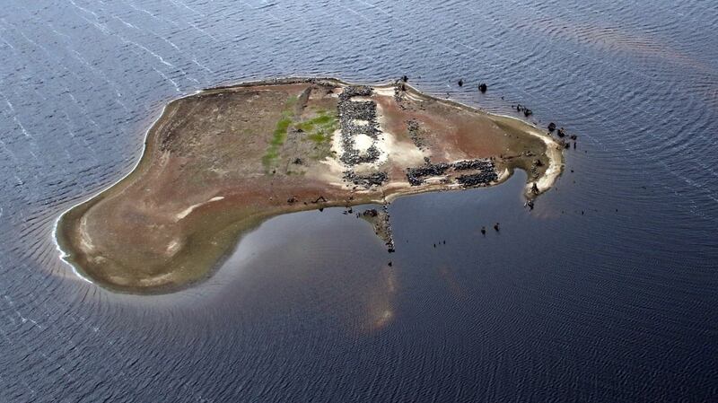 Grianghraf: An Garda Síochána/Twitter