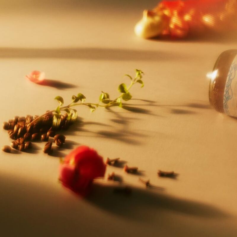 I mistook the lack of aromas for a new smell, a curious smell I couldn’t identify–  before realising it was just a blank, a cushion of space between me and my world. (Ryan Jenq/The New York Times)