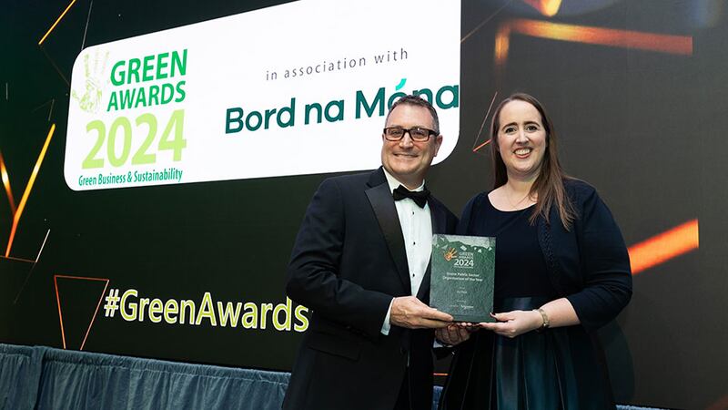 Chris Collins, country president Ireland at Schneider Electric, presents the green public sector organisation of the year award to Nicola Woods, An Post
