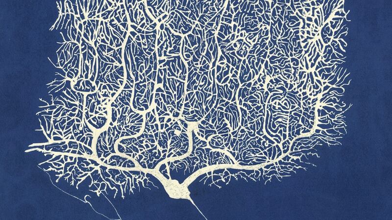 Eilis O’Connell’s, ‘Indigo Purkinje’, 2017, at Stoney Road Press