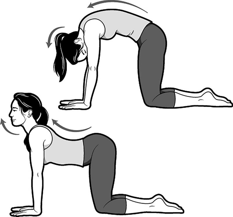 Moving between cat and cow yoga poses releases upper-back and neck tension. Photograph: Brown Bird Design/New York Times