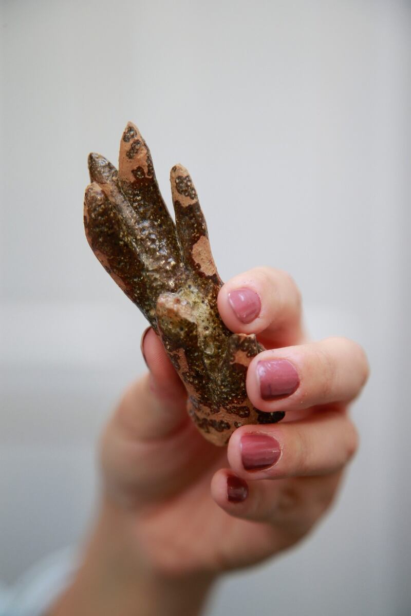 A piece of pottery shaped like an antler which was found at the Norman settlement.  It was part of a type of animal-shaped jug used for special ceremonies called an “aquamanile”. Photograph Nick Bradshaw