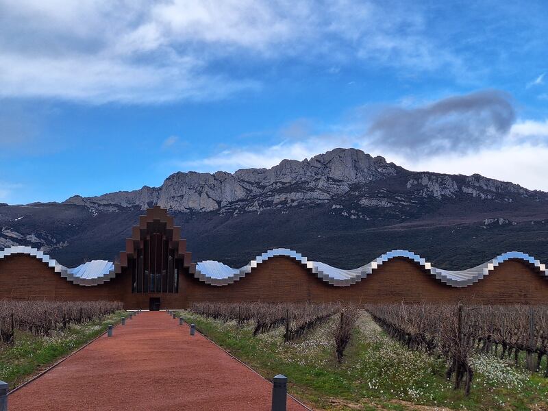 LaGuardia is one of the best places in Spain to buy exceptional wine at relatively reasonable prices