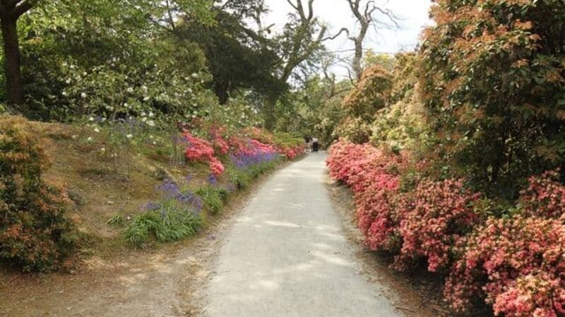 Mount Congreve Gardens, Co Waterford