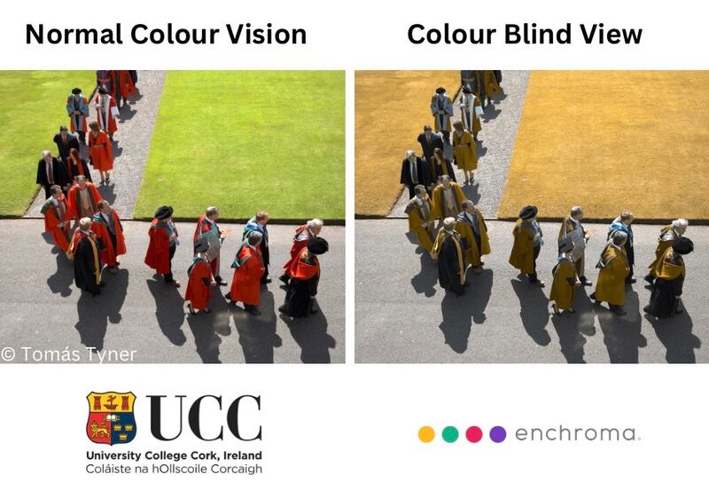 The initiative comes from UCC’s partnership with EnChroma. Photograph: Tomás Tyner/UCC