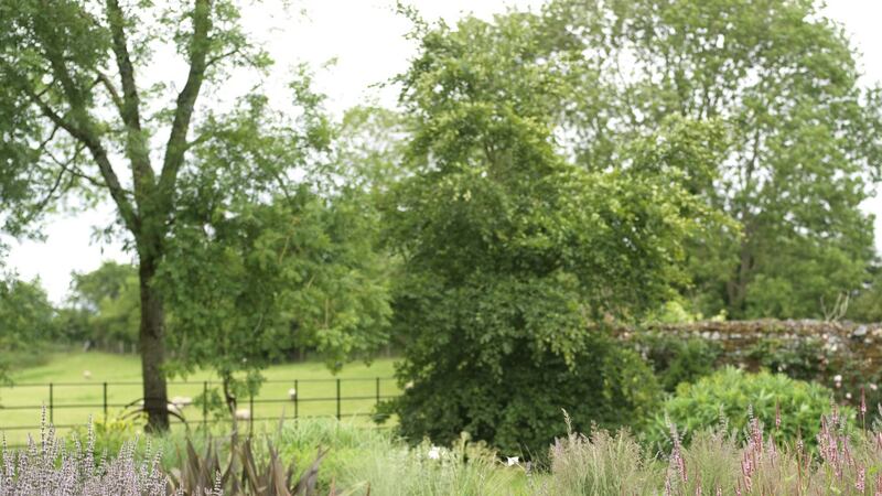 “I think the challenge for any gardener is making the planting work in a way that’s sustainable and enduring” says Doyle. “I wish more people knew that gravel gardens like this really are a wonderful solution.”Photograph:  Richard Johnston