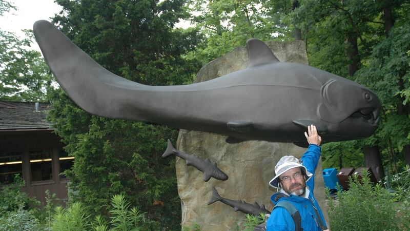John Marshall with a small reconstruction (not to scale) of the biggest placoderm fish. Photograph: John Marshall