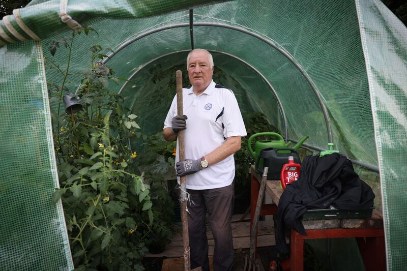 Jimmy Walsh in his allotment in Corkagh Park, Clondalkin. Photograph:  Laura Hutton