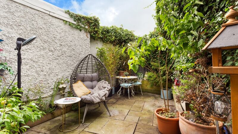 South-facing patio garden