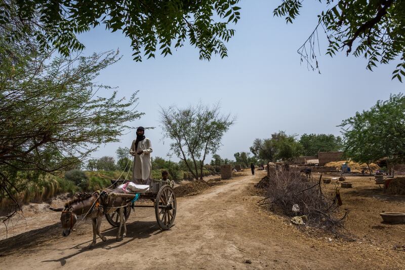 A man rides his donkey cart in Jacobabad, Pakistan. The South Asian state is one of the most vulnerable to climate change. Photograph: Asim Hafeez/Bloomberg