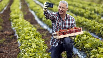 Social media is used as a networking tool by farmers