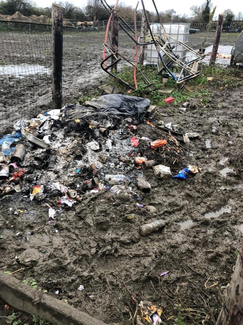 The animals were found in a neglected condition on a farm.