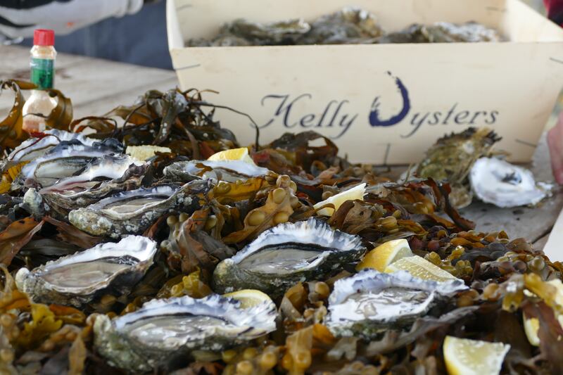 Pacific oysters. Photograph: Laoise Murray