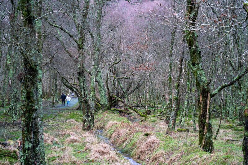 'Choose free online workouts or a walk in your local park over gym fees.' Photograph: Barry Cronin