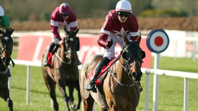 Tiger Roll would prove a popular winner in the Cross-Country. Photograph: Peter Mooney/Inpho