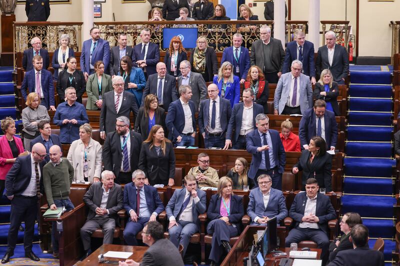 Members of the 34th Dáil. Photograph: Fergal Phillips/Maxwells