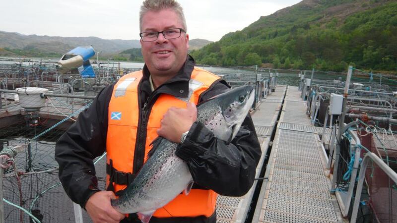 Dr Stefan Kraan: “Healthier farmed salmon is possible.”