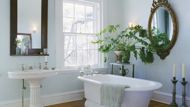 Bring a plant into your living space. Photograph: Getty Images.