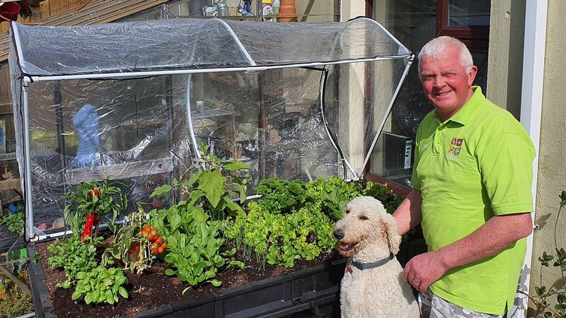 Thomas Horkan, one of three bothers currently running the family business, checking the vegepod with the help of Luna