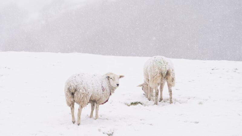 North Yorkshire. Photograph:  Danny Lawson/PA Wire