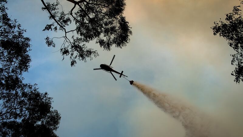 A firefighting helicopter drops water over the Dunns Road fire near Maragle, on Friday.  Photograph: Matthew Abbott/The New York Times