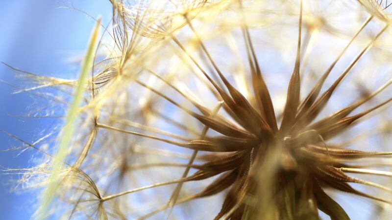 Photograph: Getty images