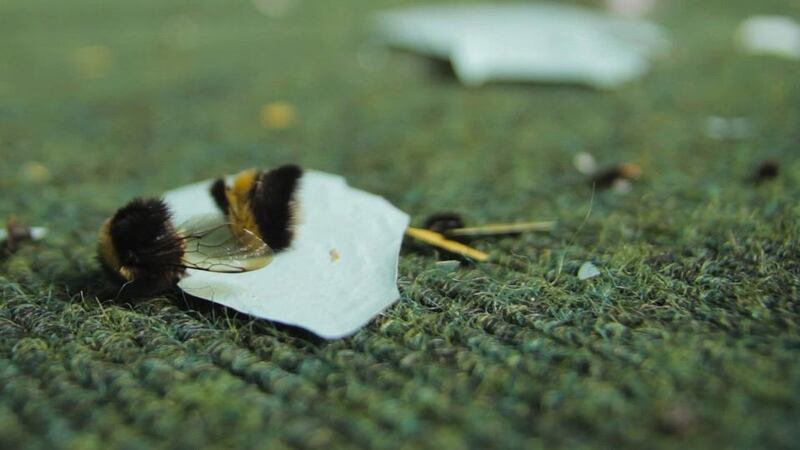 Telling the Bees by Bridget O’Gorman