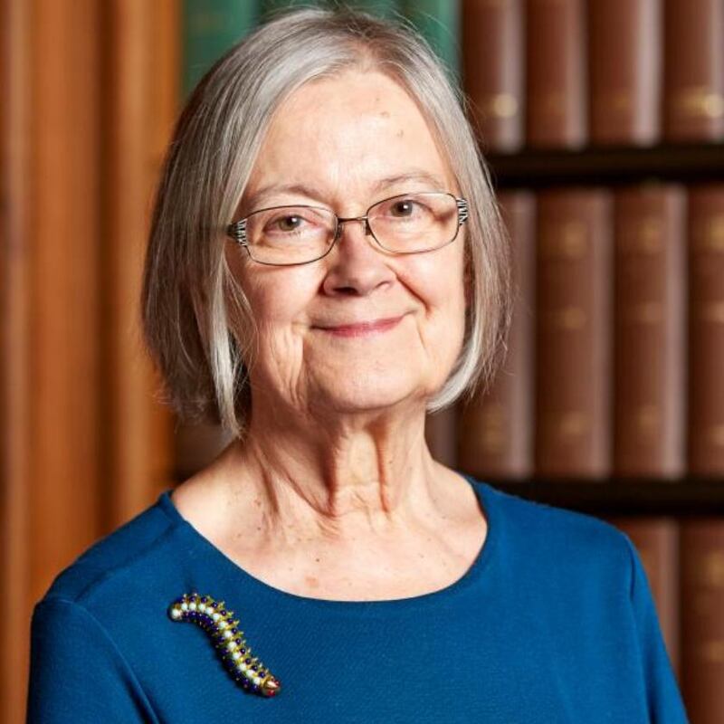 Lady Hale’s brooches include a caterpillar... Photograph: Kevin Leighton/UKSC