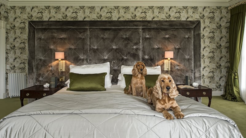 Bedroom by Maria Fenlon