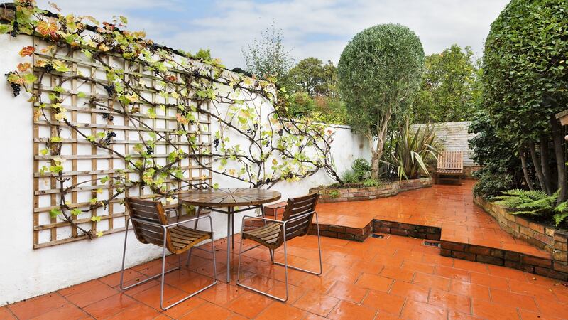 The garden at 15 Sandford Avenue, D4