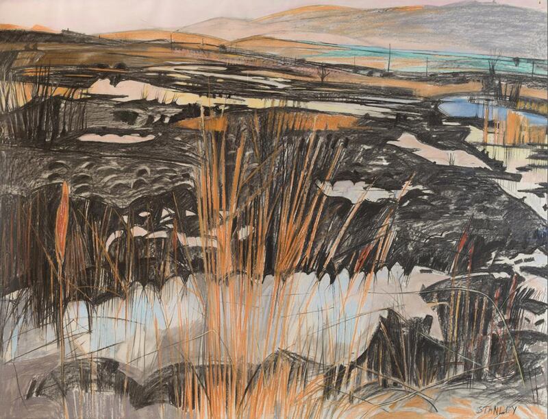 Jacqueline Stanley’s “Wetland II, Mount Gabriel” (1990s)
