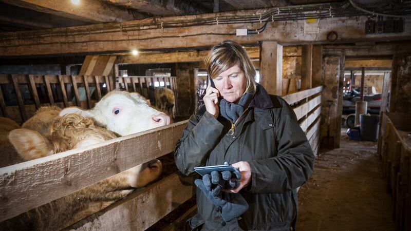 The biggest potential comes from the linking of agriculture with the ICT sector