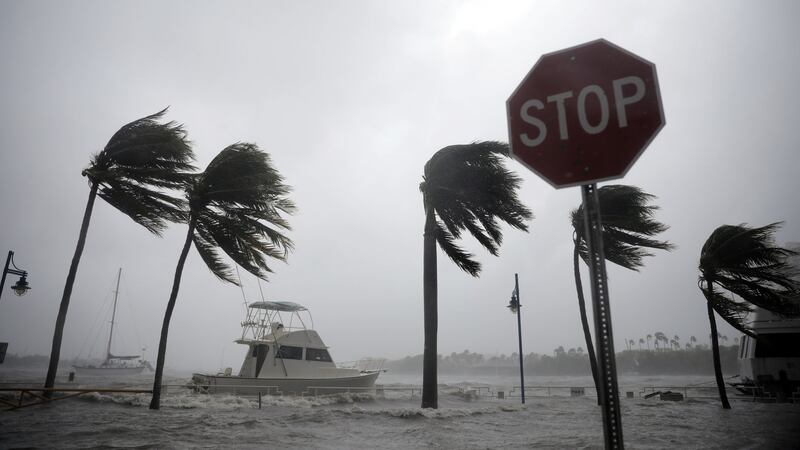 Boats are seen at a marina in Coconut Grove as Hurricane Irma arrives in Miami, Florida. Photograph: Carlos Barria/Reuters