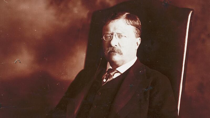 Sitting president: Theodore Roosevelt in 1907, the year he wrote about Irish myths for Century magazine. Photograph: Hulton/Getty