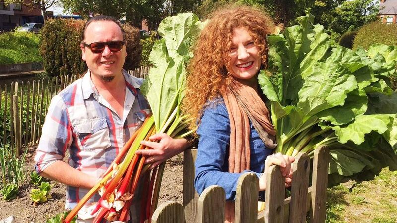 Collecting rhubarb for Dublin City Gin