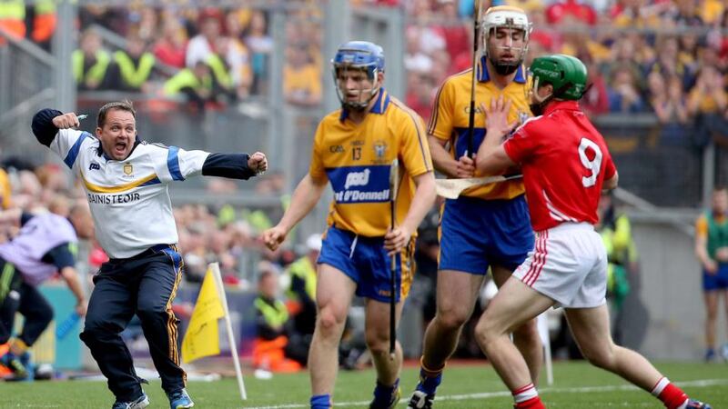Davy Fitzgerald: still celebrating a line ball. Photograph: James Crombie/Inpho