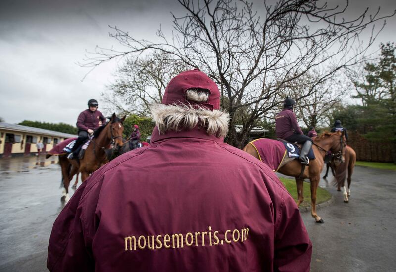 Mouse Morris in his yard at Everardsgrange, Fethard, Co Tipperary. 'I hate that phrase ‘it’s our Olympics’. But it is as good as.' Photograph: Morgan Treacy/Inpho 
