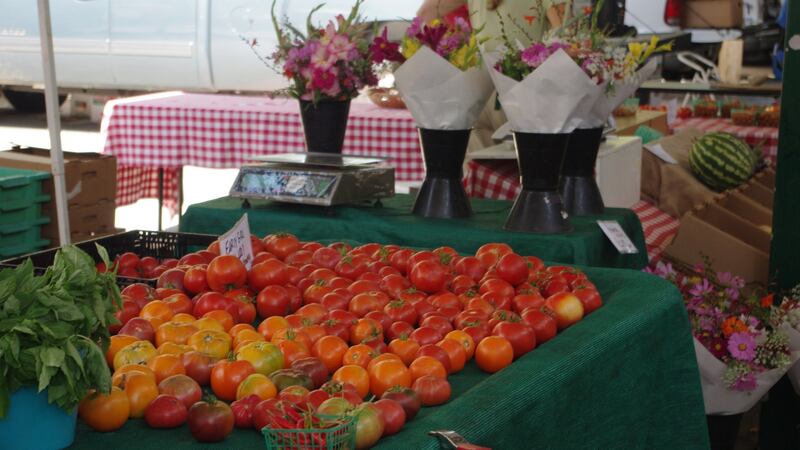 If you were to stop off here between Alcatraz and the redwoods, try to make it a Wednesday, when Davis Central Park becomes the farmer’s market and the whole town has a picnic tea.