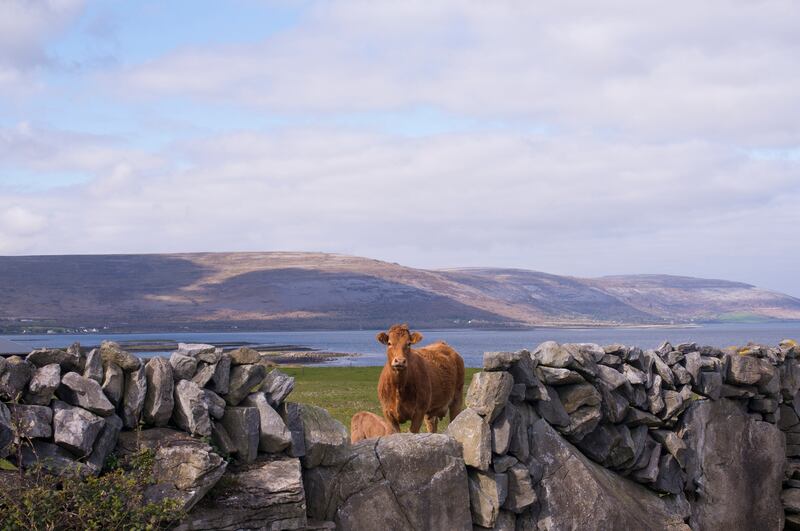 Ballyvaughan, Connemara, Co Galway, Wild Atlantic Way, Ireland.