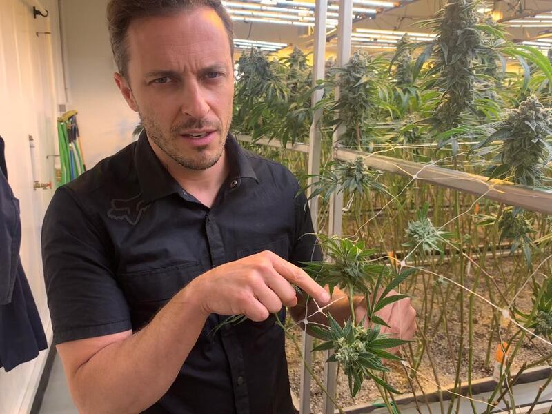 Matt Trépanier of Sweetgrass Cannabis at the company’s growing and processing facility near Nelson in British Columbia.
