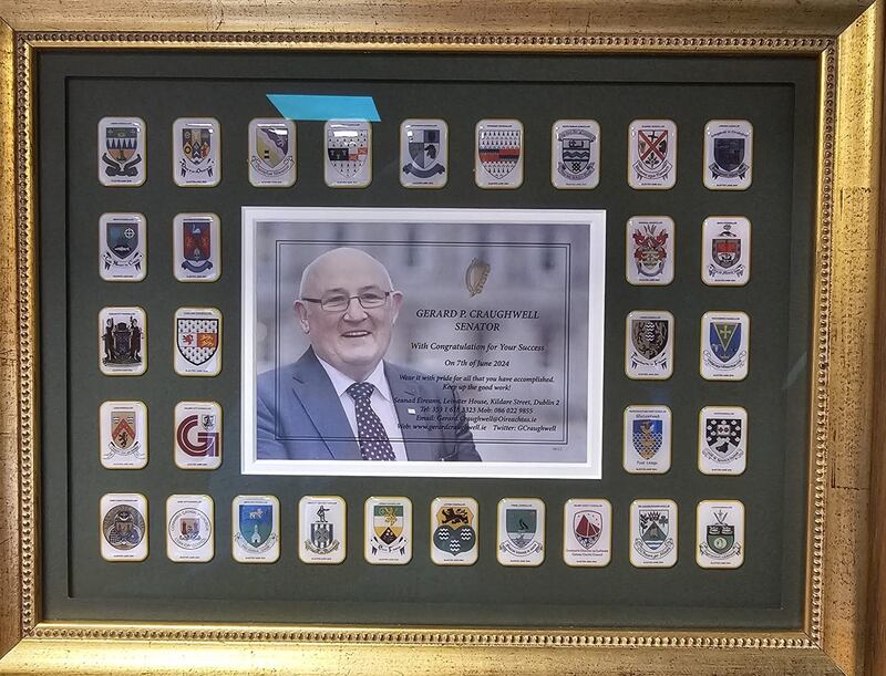 Gerard Craughwell: splashed out on more than 940 lapel badges and posted one to every councillor